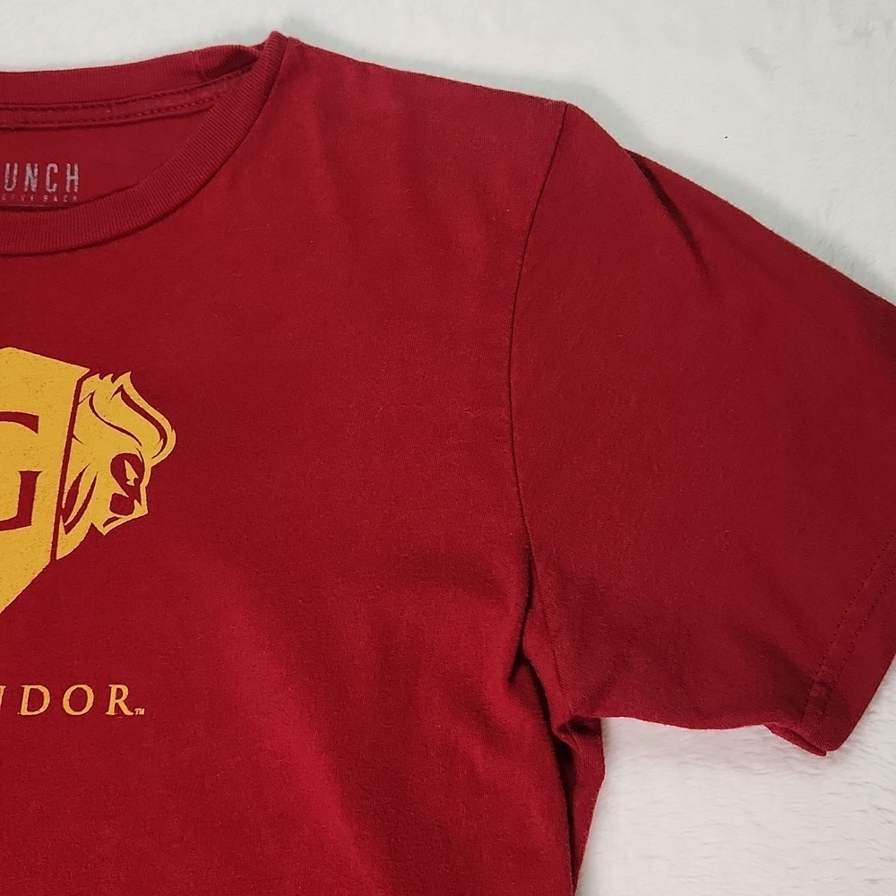 Harry Potter T-shirt Top Boys L - Wizarding world of Harry Potter Gryffindor - Picture 3 of 12